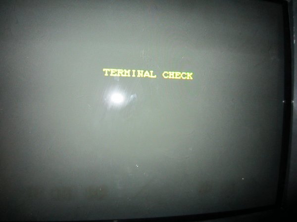 terminal check